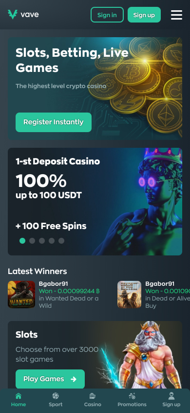Vave Casino Screenshot