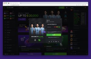 BC.Game Terms and Conditions