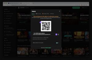 Wagmi Casino Crypto Wallet