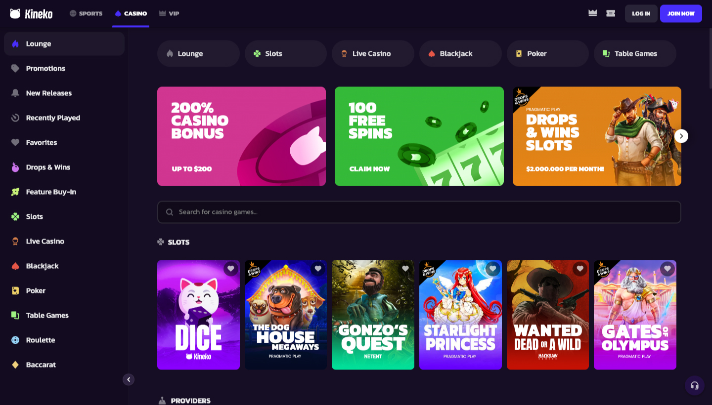 Kineko Casino Screenshot