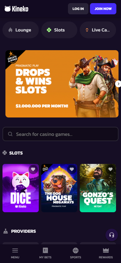 Kineko Casino Screenshot