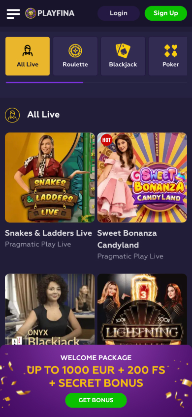 Playfina Casino Screenshot