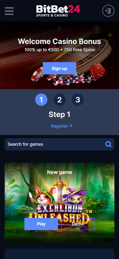 BitBet24 Casino Screenshot